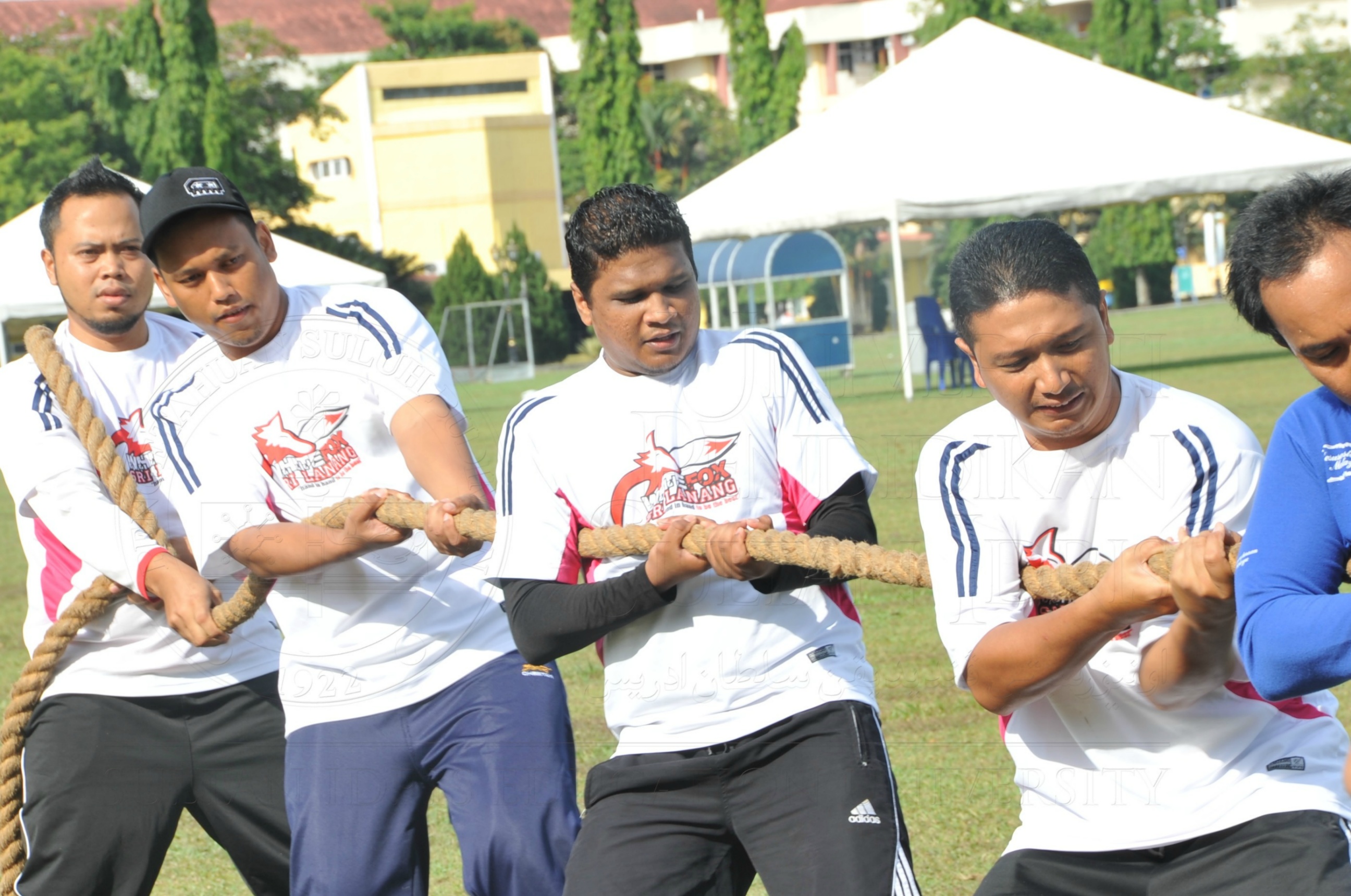 PRO 15 53 KIESTA HAS 5498